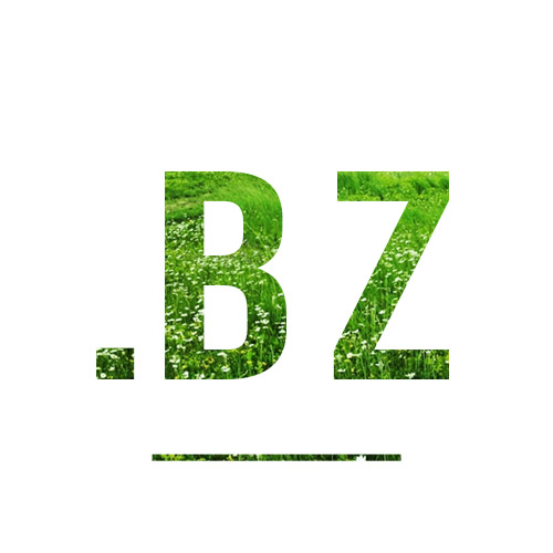 Регистрация доменного имени в зоне .BZ