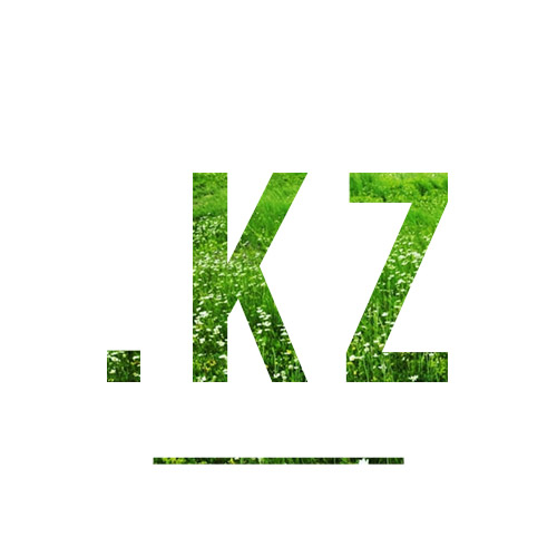 Регистрация доменного имени в зоне .KZ