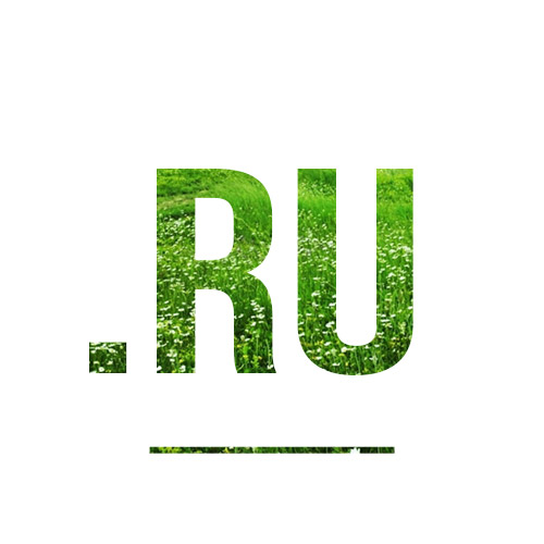 Регистрация доменного имени в зоне .RU