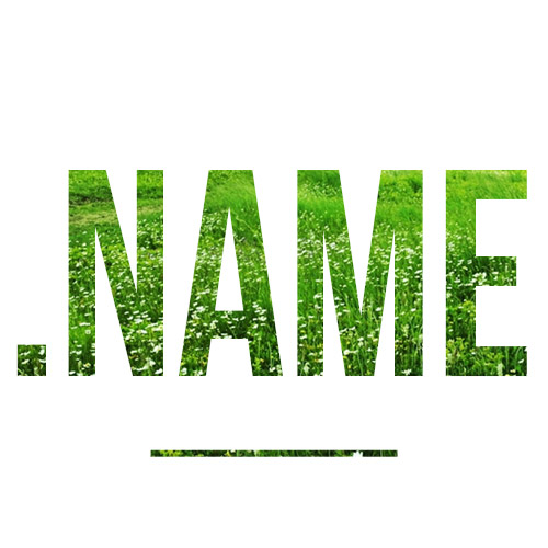 Регистрация доменного имени в зоне .NAME